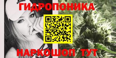 гидропоника Будённовск